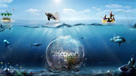 discovery chanel wallpaper|Free download Discovery Channel Wallpaper [1920x1080] for .